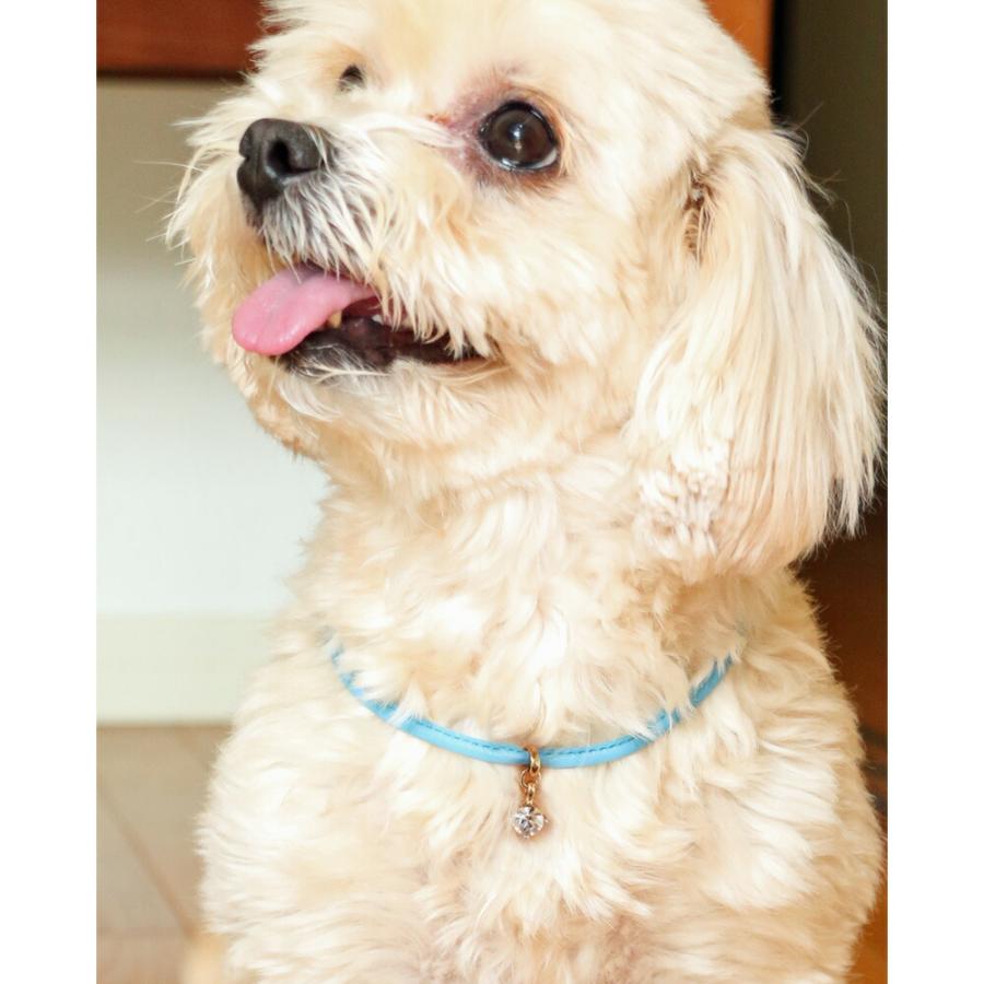 オーダー窓口】ペット用チョーカー 長さ調整可能タイプ ペット用吸引式
