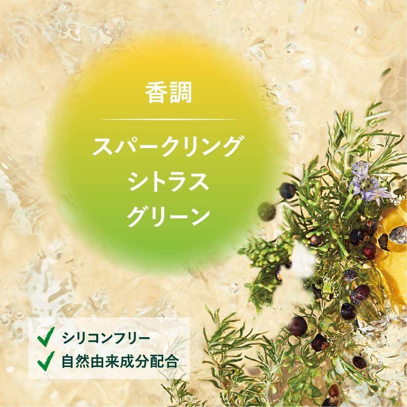 ロクシタン(L'OCCITANE) ファイブハーブス ボリューム&ストレングス シャンプー ポンプ 500mL 500ミリリットル (x 1｜melone-shop｜02