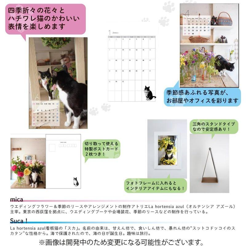 シーオーツー 花屋の猫 2024年 スカのカレンダー卓上 CK-C24-04｜melone-shop｜04