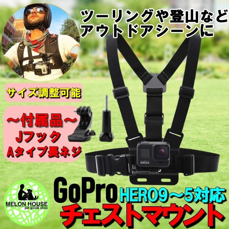 満点の GoPro対応マウント アタッチメント多数付属アクションカメラ ビデオカメラ www.anavara.com 満点の GoPro対応マウント アタッチメント多数付属アクションカメラ ビデオカメラ www.anavara.com