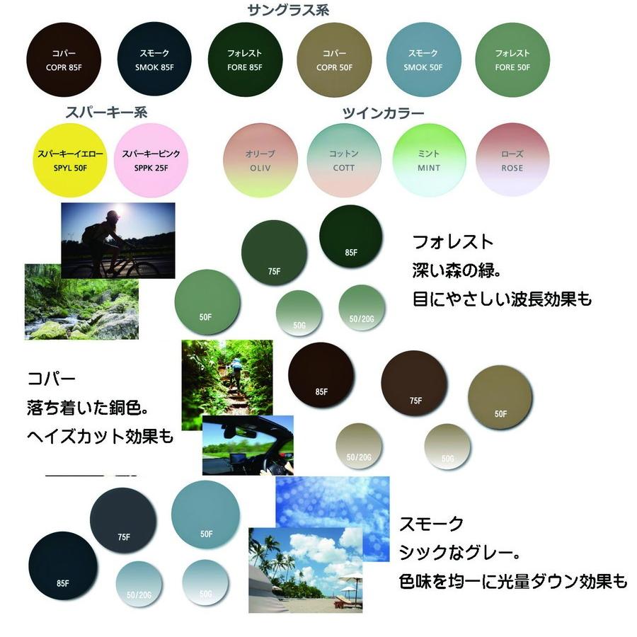 HOYA カラーサンプル アリアーテトレス （お好きなカラーをお選び