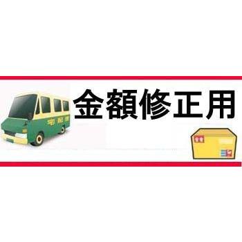 金額修正用★8800円　差額分★