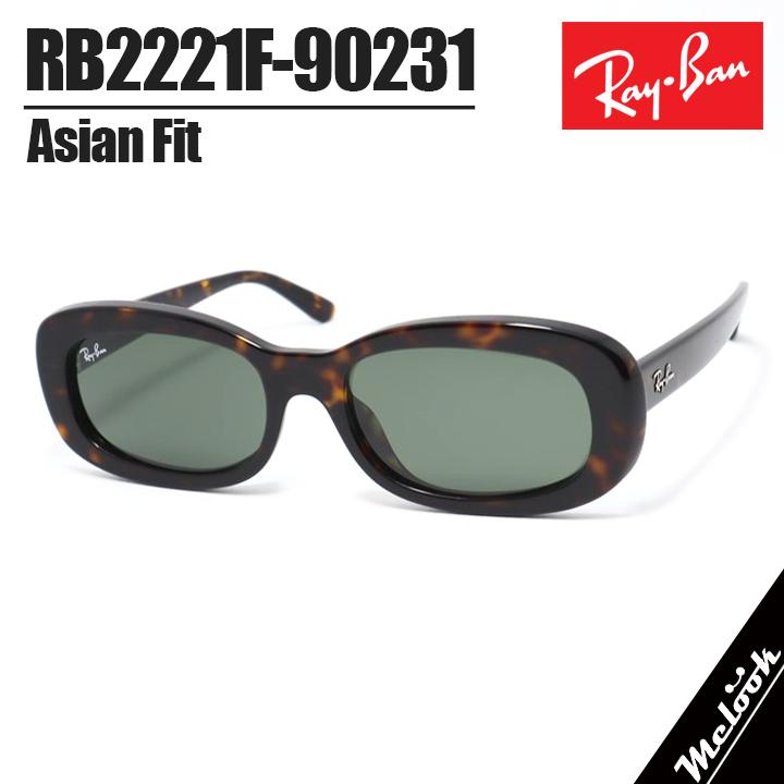 RB2221F-90231-55  RAYBANレイバン サングラス Ray-Ban（レイバン） RB2221F-90231-55 サングラス 日本国内正規品
