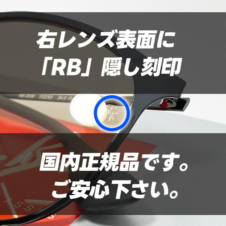 Ray-Ban RB3539 ブラック ラウンドサングラス ケース付き レイバン公式ストア】 Ray-Ban® ERIKA METAL サングラス | ブラック X