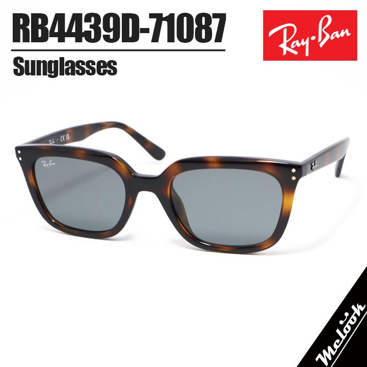 Ray-Ban（レイバン） RB4439D-71087-54 サングラス 日本国内正規品