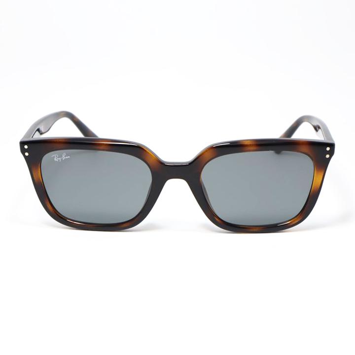 ワ*ア様 レイバンサングラス　RB4439D 新品未使用 Ray-Ban（レイバン） RB4439D-71087-54 サングラス 日本国内正規品