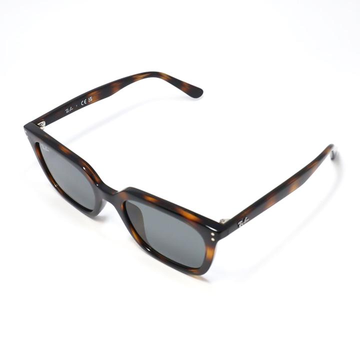 ワ*ア様 レイバンサングラス　RB4439D 新品未使用 Ray-Ban（レイバン） RB4439D-71087-54 サングラス 日本国内正規品
