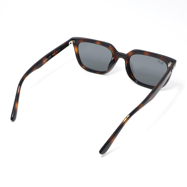 Ray-Ban（レイバン） RB4439D-71087-54 サングラス 日本国内正規品