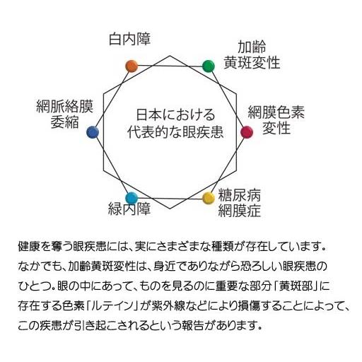 【新品 未使用 日本製】 RayBan レイバン PCメガネ　美容・健康レンズ UV420カット伊達加工＆度付レンズ UVカット付き 眼鏡 メガネ フレーム RB5017A-2000-52 【A1838943145】(10075円)