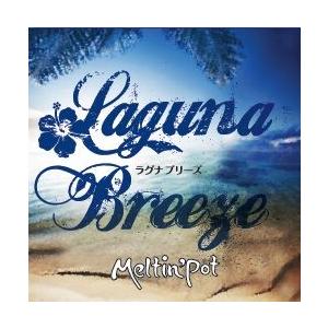 お得なＳＥＴ　　ラグナブリ−ズシャンプーボトル1本＆トリートメントボトル1本　　ノンシリコン　Laguna Breeze |  | 02