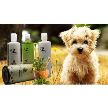 ペットヴェーダ　アルガンオイル　シャンプー【For Dog & Cat】 200ml,PETVEDA ARGAN OIL SHAMPOO｜meltinpot｜03