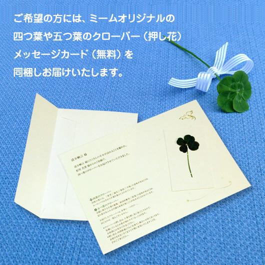 翌日発送可 ギフト お菓子 カルビー かっぱえびせん匠海２種詰合せ 40枚 内祝 お祝い 出産 結婚 誕生日 御礼 93057-03 | カルビー | 05