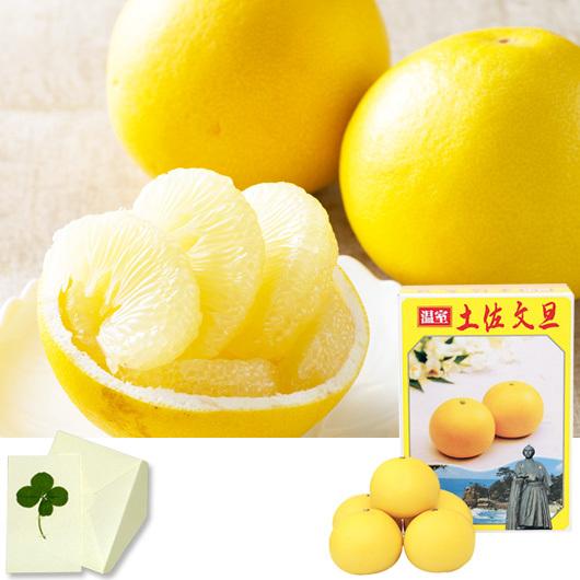 母の日果物 フルーツ ギフト 高知 辻果樹園 温室ふるーつ文旦 のしなし 内祝い お祝い 誕生祝 御礼 送料無料 adu ギフト通販ミーム Yahoo 店 通販 Yahoo ショッピング