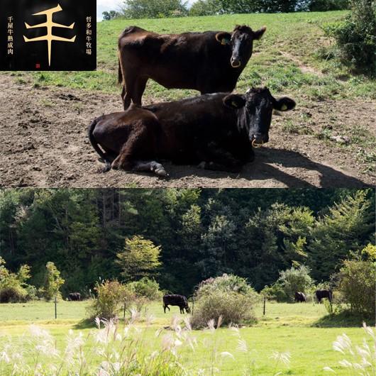 ギフト 千屋牛 Ａ５ランク 焼き肉用 熟成モモ肩肉 600ｇ 内祝い、お誕生日、お礼 |  | 02