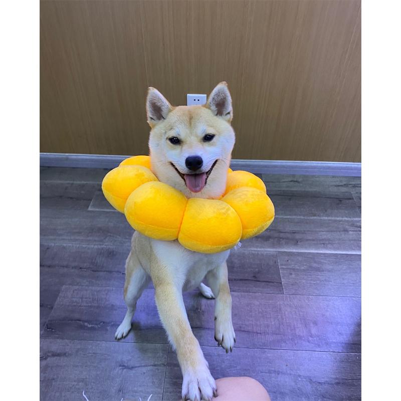 即日発送】エリザベスカラー ソフトタイプ 猫用 猫用品 猫グッズ 犬用 犬用品 犬グッズ ペット用品 エリザベス ドーナツ 花 布製 クッション かわいい短納期間 :CWYP01:TG Promises - 通販 - Yahoo!ショッピング 即日発送】エリザベスカラー ソフトタイプ 猫用 猫用品 猫グッズ 犬用 犬用品 犬グッズ ペット用品 エリザベス ドーナツ 花 布製 クッション かわいい短納期間 :CWYP01:TG Promises - 通販 - Yahoo!ショッピング