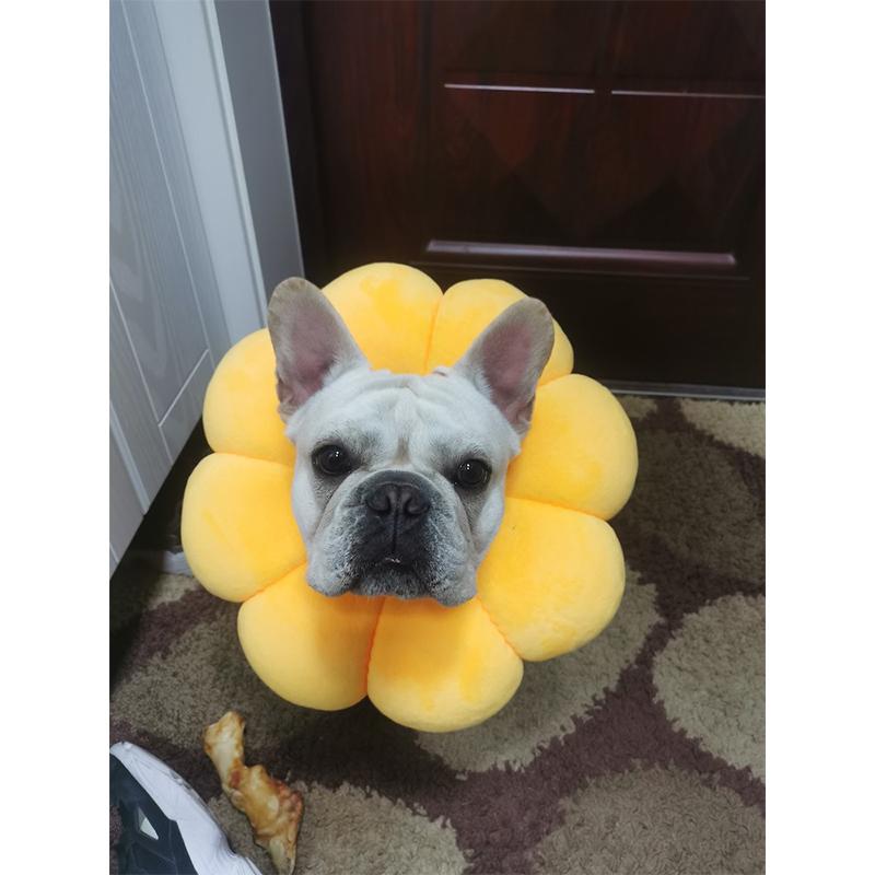 即日発送】エリザベスカラー ソフトタイプ 猫用 猫用品 猫グッズ 犬用 犬用品 犬グッズ ペット用品 エリザベス ドーナツ 花 布製 クッション かわいい短納期間 :CWYP01:TG Promises - 通販 - Yahoo!ショッピング 即日発送】エリザベスカラー ソフトタイプ 猫用 猫用品 猫グッズ 犬用 犬用品 犬グッズ ペット用品 エリザベス ドーナツ 花 布製 クッション かわいい短納期間 :CWYP01:TG Promises - 通販 - Yahoo!ショッピング
