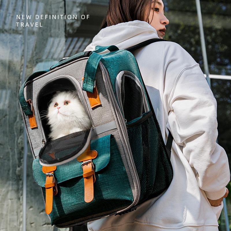 定番のお歳暮 猫リュック ペットキャリーバッグ 猫キャリーバッグ 猫 犬 ペットキャリー リュック 小型犬用 猫用 ケース おしゃれ 丈夫 メッシュ 移動 避難 旅行 病院 Cisama Sc Gov Br