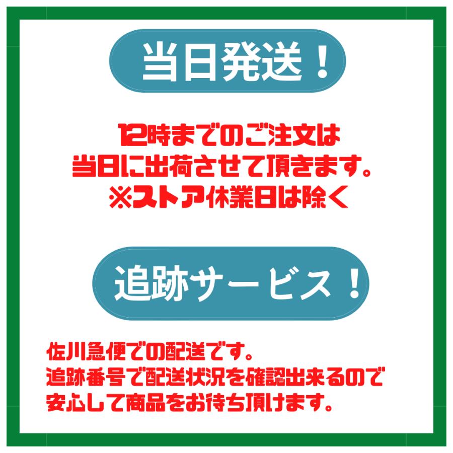 アウトレット 新品未開封  トゥルースリーパー  ネックフィットピロー 低反発まくら 枕 正規品 TrueSleeper｜mement｜02