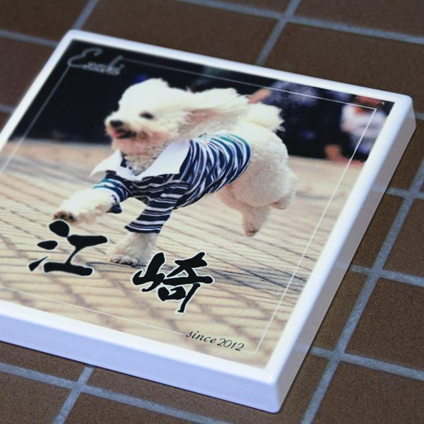 ペットの写真を表札に。オリジナル表札の制作 |  | 01