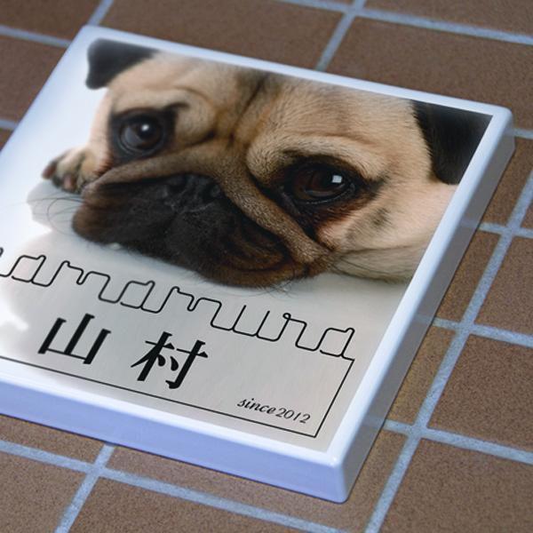 ペットの写真を表札に。オリジナル表札の制作 |  | 01