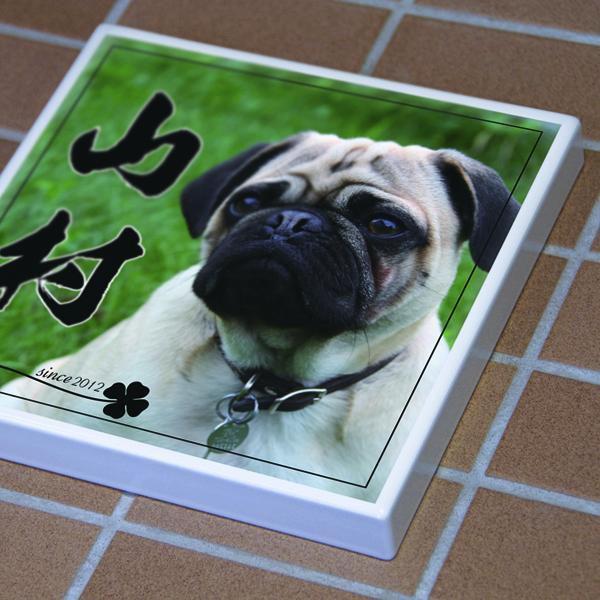 ペットの写真を表札に。オリジナル表札の制作 |  | 01