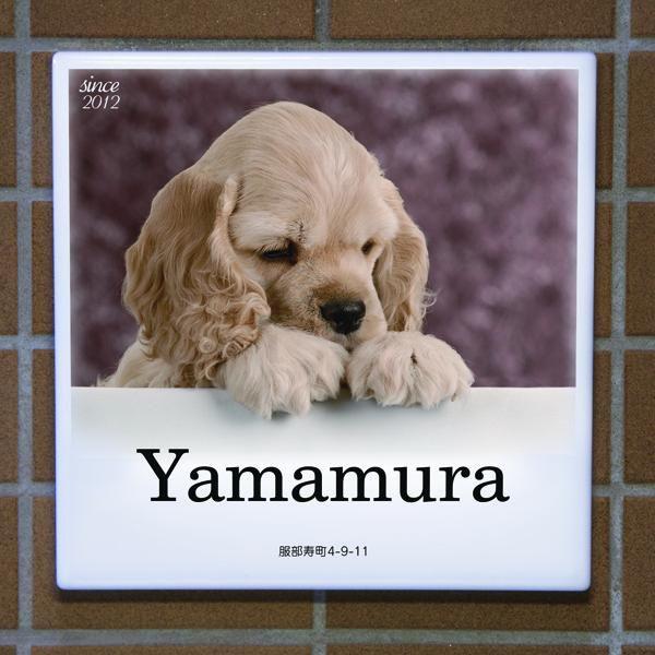 ペットの写真を表札に。オリジナル表札の制作 | 