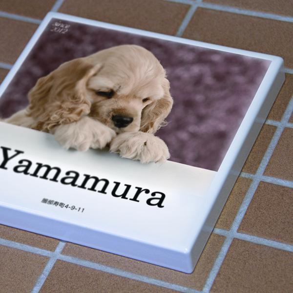 ペットの写真を表札に。オリジナル表札の制作 |  | 01