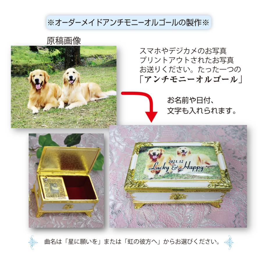 アンチモニーオルゴール  ペットの写真で貴方だけのアンチモニー。ペットとの思い出に オーダーメイド 日付や名入れOK_4