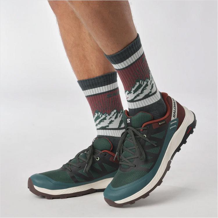 サロモン アウトライズ GTX ゴアテックス 26.0cm Pパイン×Bチョコレート #L47142100 OUTRISE GTX GORE-TEX PONDEROSA PINE/BITTER CHOCOLATE SALOMON GTX OUTRISE GORE TEX サロモン アウトライズ ゴアテックス 0cm #L47142100 PONDEROSA PINE/BITTER CHOCOLATE SALOMON アウトドア