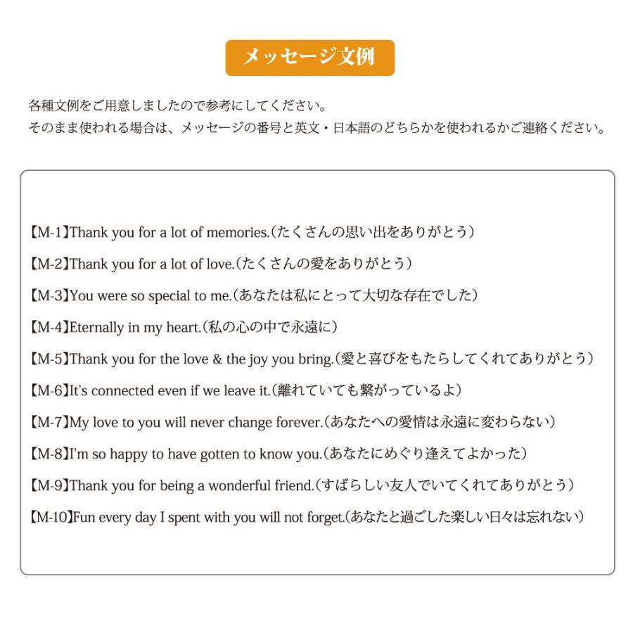 国内配送 フォトフレーム 写真立て ドリームガーデンガーベラ ペットメモリアルグッズ 名入れ ペット仏壇 現金特価 Studiostodulky Cz