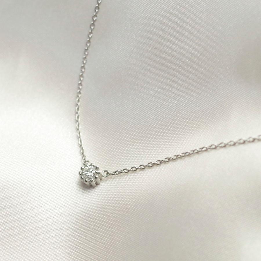 【MS22/Pt900】 完全防水の遺骨ペンダント　一粒石の誕生石　ネックレスMS22 素材：プラチナ×誕生石3mm |  | 17