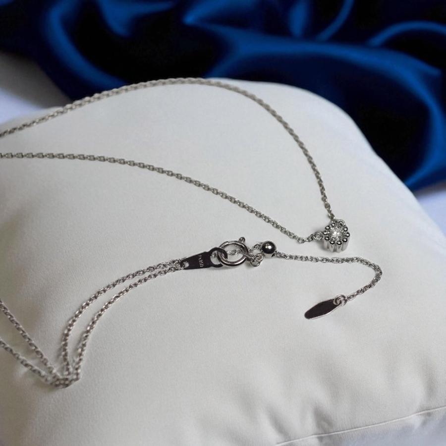 【MS22/Pt900】 完全防水の遺骨ペンダント　一粒石の誕生石　ネックレスMS22 素材：プラチナ×誕生石3mm |  | 18