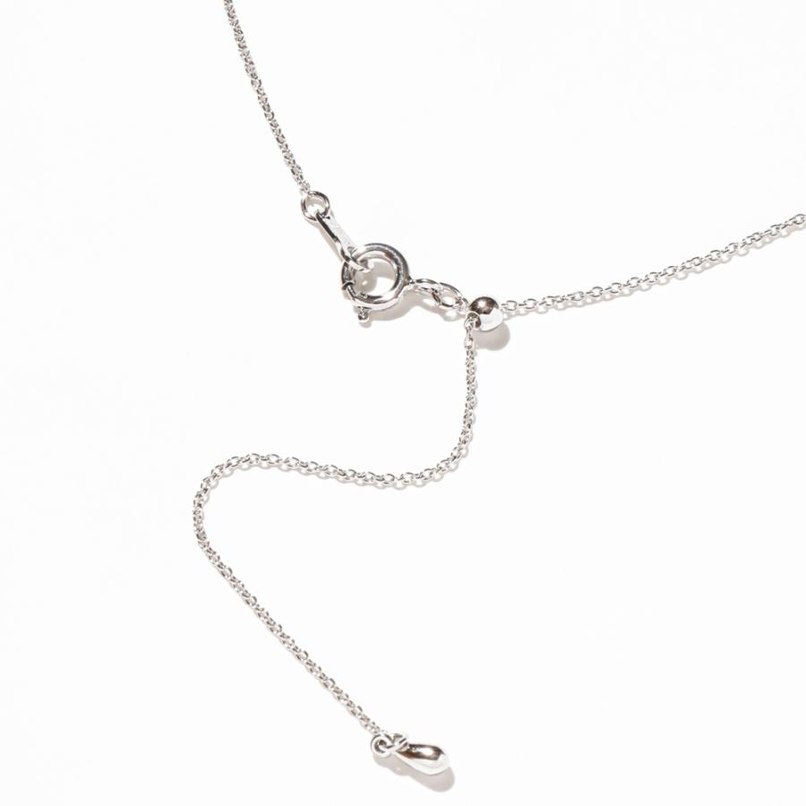 【MS22/Pt900】 完全防水の遺骨ペンダント　一粒石の誕生石　ネックレスMS22 素材：プラチナ×誕生石3mm |  | 19