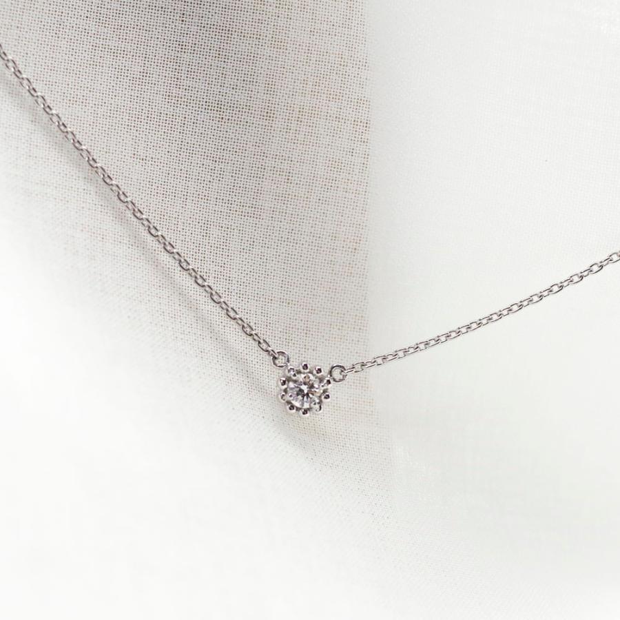 【MS22/Pt900】 完全防水の遺骨ペンダント　一粒石の誕生石　ネックレスMS22 素材：プラチナ×誕生石3mm |  | 04