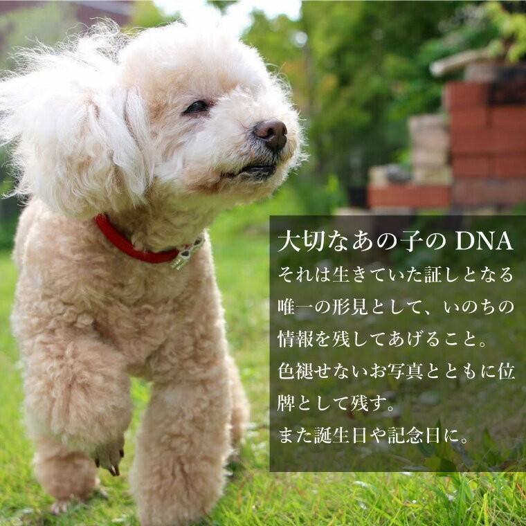 ペット メモリアルグッズ クリスタル モニュメント DNA ホログラム入り フルカラープリント 記念品 DNA stock assist_1
