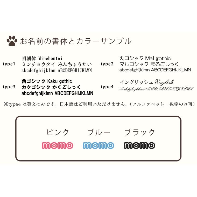 ペット メモリアルグッズ クリスタル モニュメント DNA ホログラム入り フルカラープリント 記念品 DNA stock assist_10
