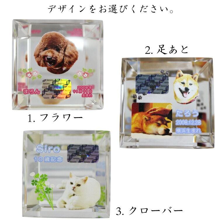 ペット メモリアルグッズ クリスタル モニュメント DNA ホログラム入り フルカラープリント 記念品 DNA stock assist_4