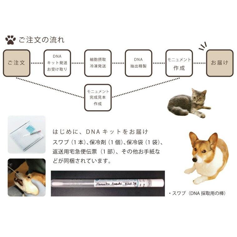 ペット メモリアルグッズ クリスタル モニュメント DNA ホログラム入り フルカラープリント 記念品 DNA stock assist_5