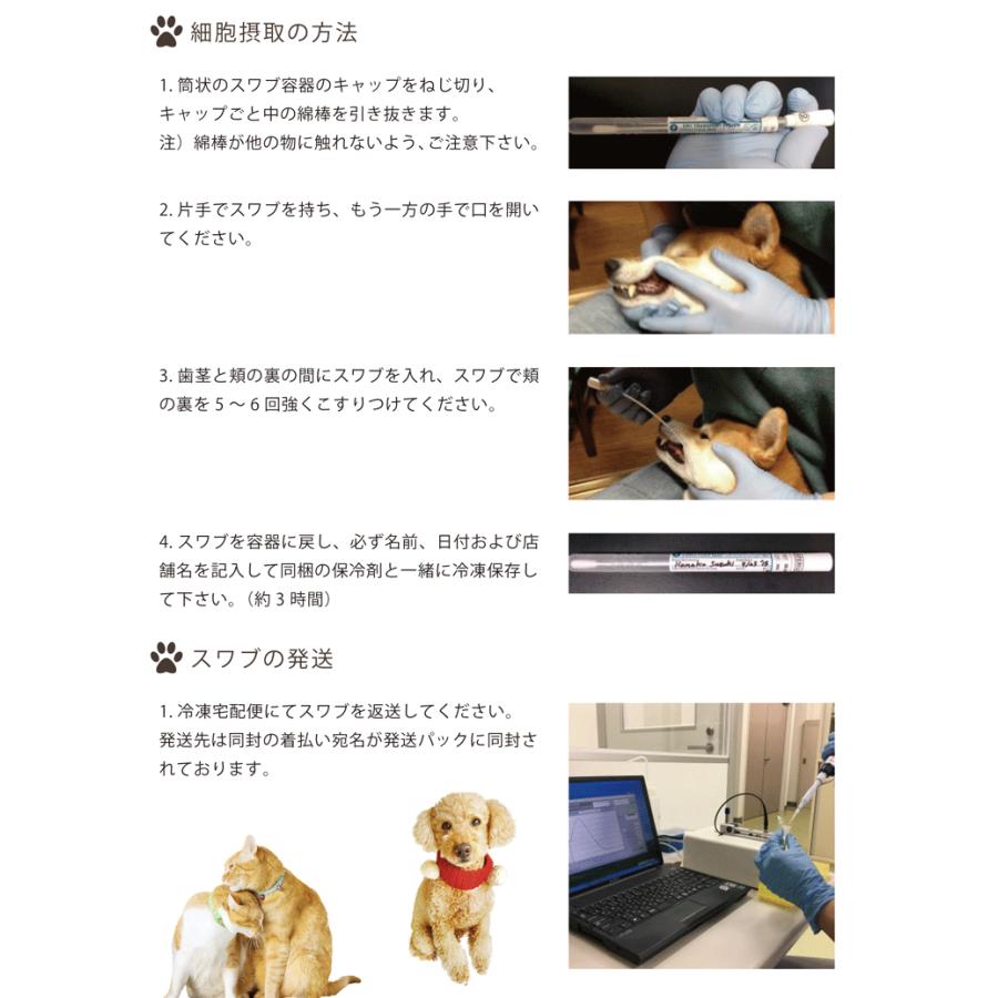 ペット メモリアルグッズ クリスタル モニュメント DNA ホログラム入り フルカラープリント 記念品 DNA stock assist_6