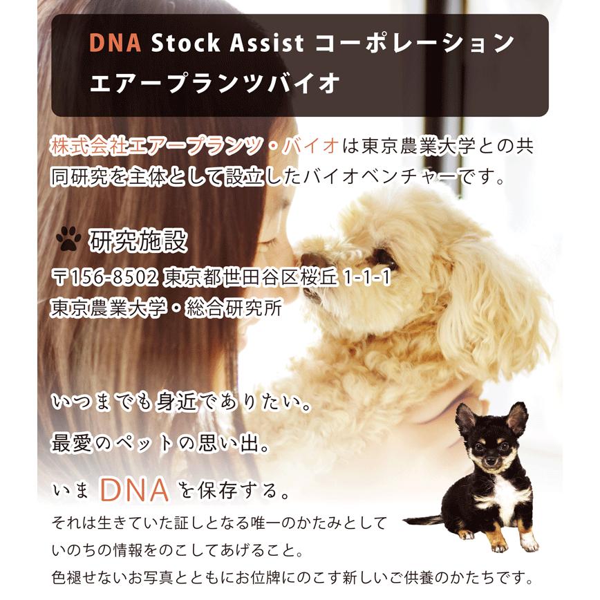 ペット メモリアルグッズ クリスタル モニュメント DNA ホログラム入り フルカラープリント 記念品 DNA stock assist_7