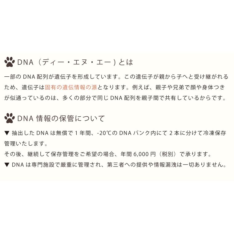 ペット メモリアルグッズ クリスタル モニュメント DNA ホログラム入り フルカラープリント 記念品 DNA stock assist_8