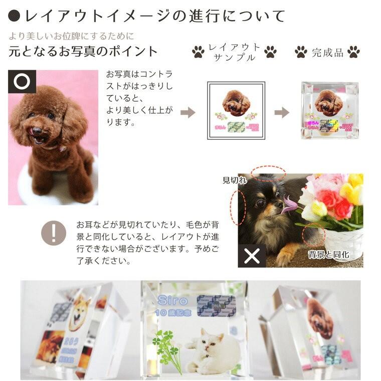 ペット メモリアルグッズ クリスタル モニュメント DNA ホログラム入り フルカラープリント 記念品 DNA stock assist_9
