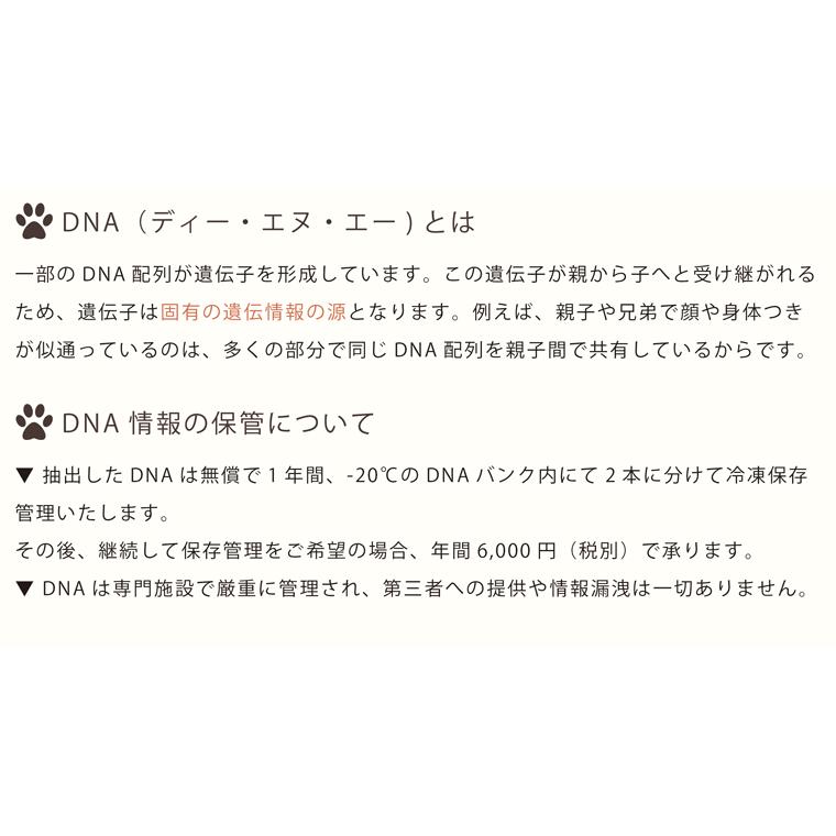 ペット DNA保存 メモリアル お守り DNA stock assist ホログラム 記念品 誕生日記念 メモリアル 思い出｜memorialkobo｜07