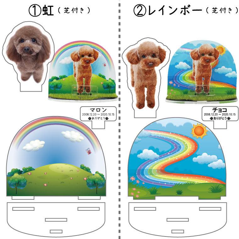 ペット位牌 組み立て式 アクリルスタンド フルカラープリント 写真入り レインボー かわいい ペット仏具_4