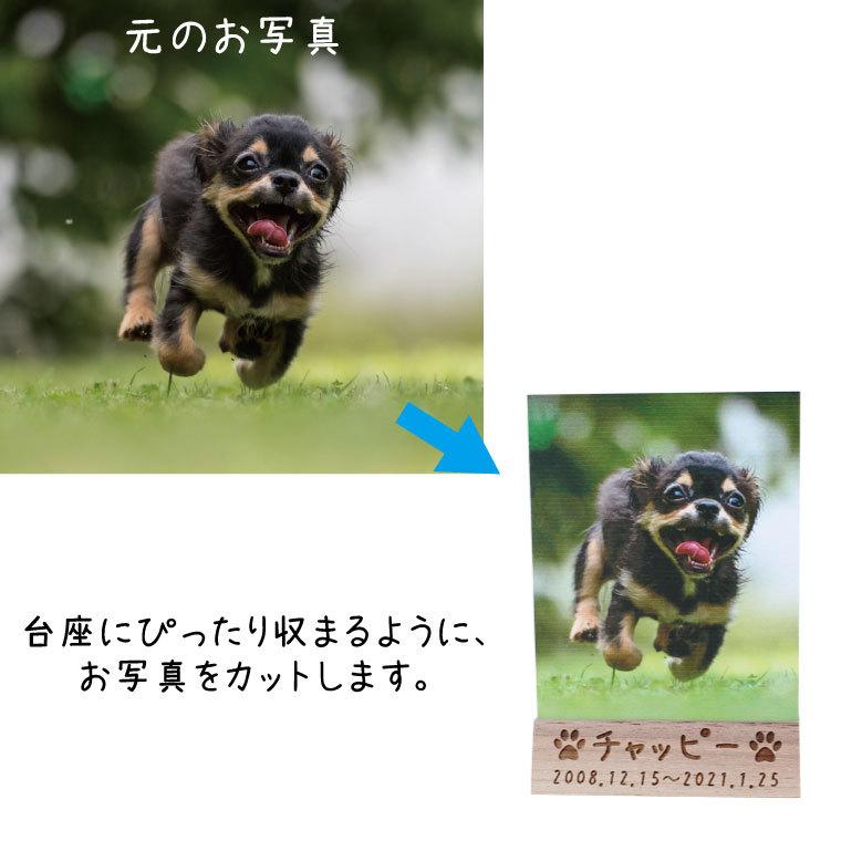 ペット位牌 アクリルパネル 木製台座付き フルカラー 写真プリント 背景あり 名入れ オリジナル_2