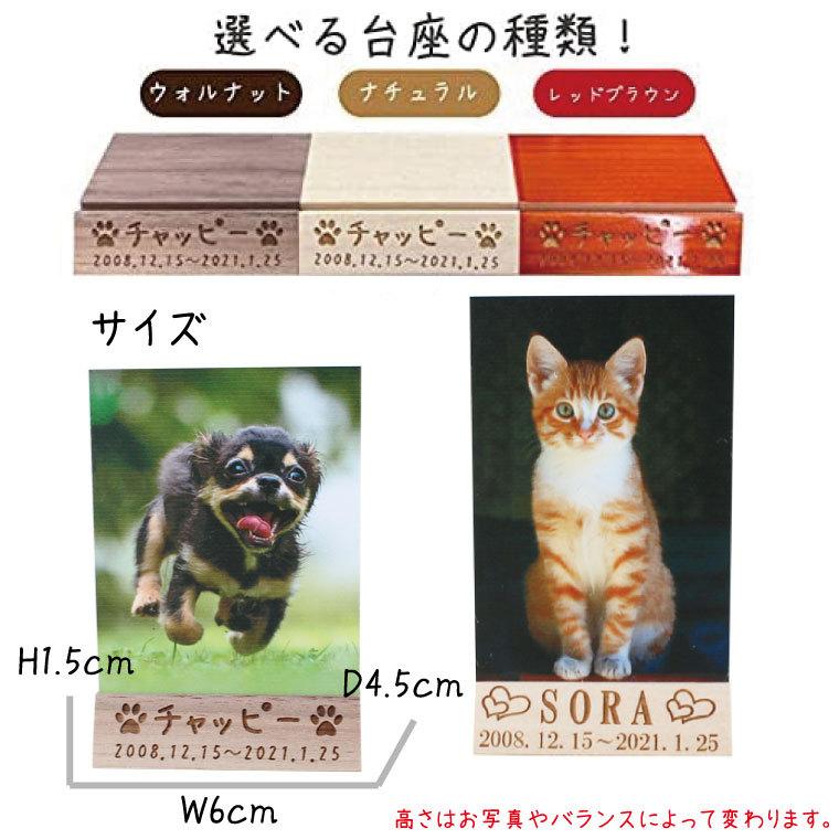 ペット位牌 アクリルパネル 木製台座付き フルカラー 写真プリント 背景あり 名入れ オリジナル_3