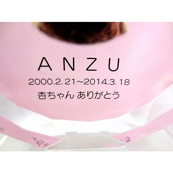 ペット仏具 ペット位牌 サークル型(大) フルカラー ピンク ペット仏具 ペット位牌 サークル型(大) フルカラー ピンク