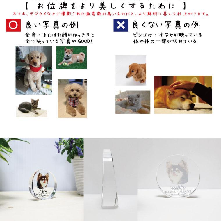 ペット位牌 自立型 シンプルデザイン クリスタル位牌 ガラス位牌 フルカラープリント ペット供養 かわいい 犬 猫 ペット位牌 ペット仏具_4