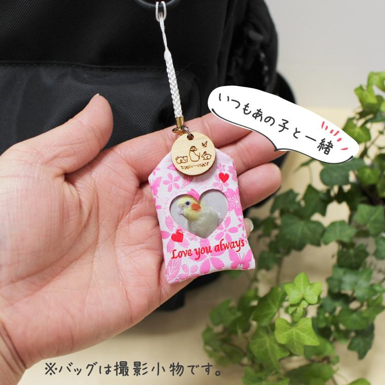 ペット お守り メモリアルカプセル 写真 遺毛 遺骨 メッセージ