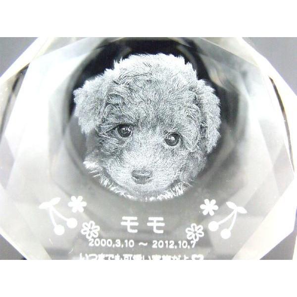 【 ペット位牌 】 位牌 クリスタル位牌 星型 遺影 モダン位牌 ペット仏具 モダン仏具 手元供養 犬 猫【108】_2